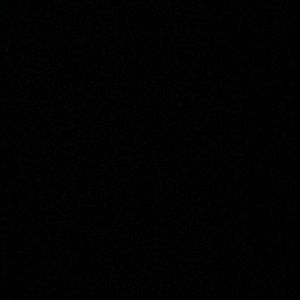 Meet your Posher, Peyton